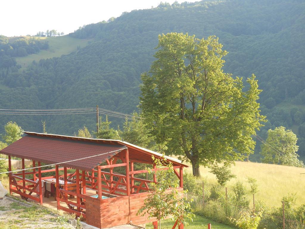 Kings Valley - Sunny Botesti Cimpeni Exterior photo