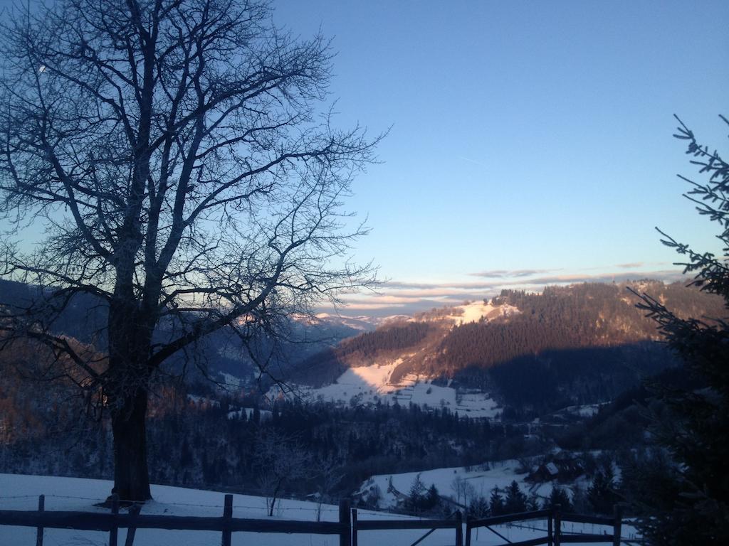 Kings Valley - Sunny Botesti Cimpeni Exterior photo