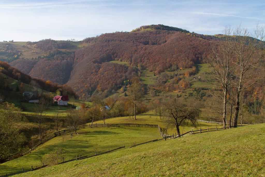 Kings Valley - Sunny Botesti Cimpeni Exterior photo