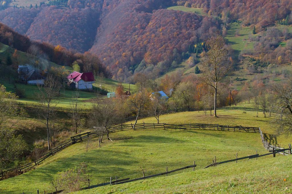 Kings Valley - Sunny Botesti Cimpeni Exterior photo