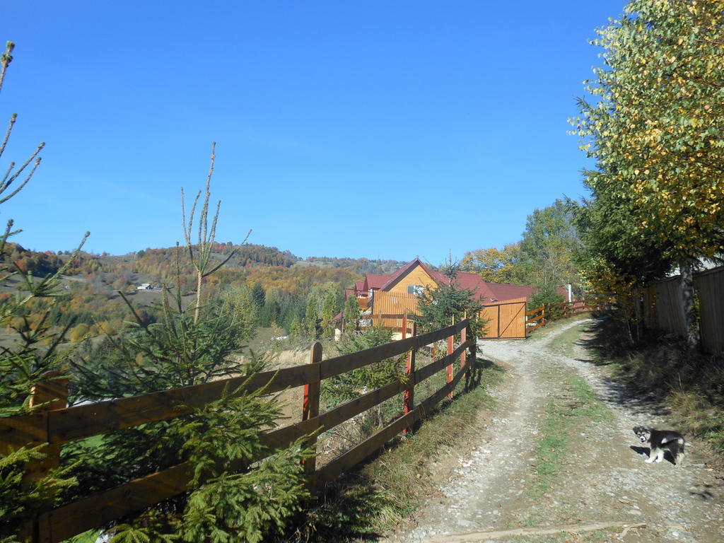 Kings Valley - Sunny Botesti Cimpeni Exterior photo