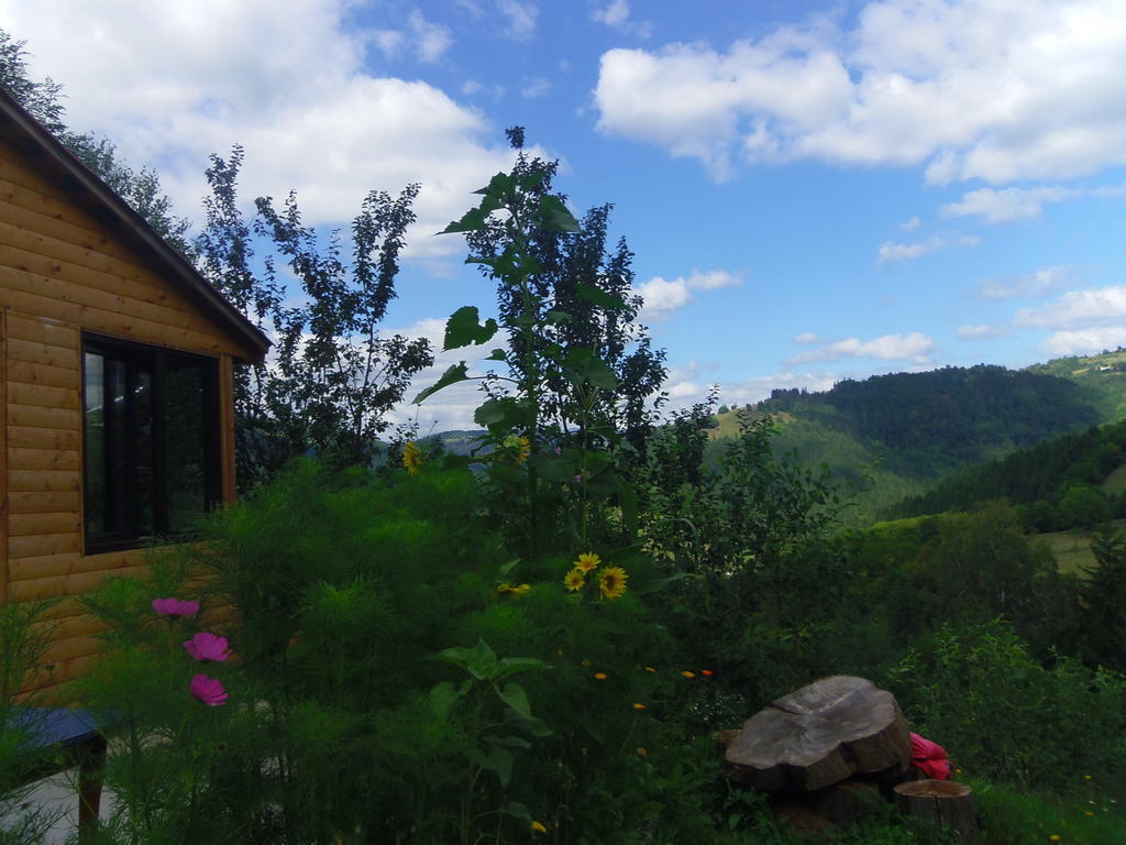Kings Valley - Sunny Botesti Cimpeni Exterior photo
