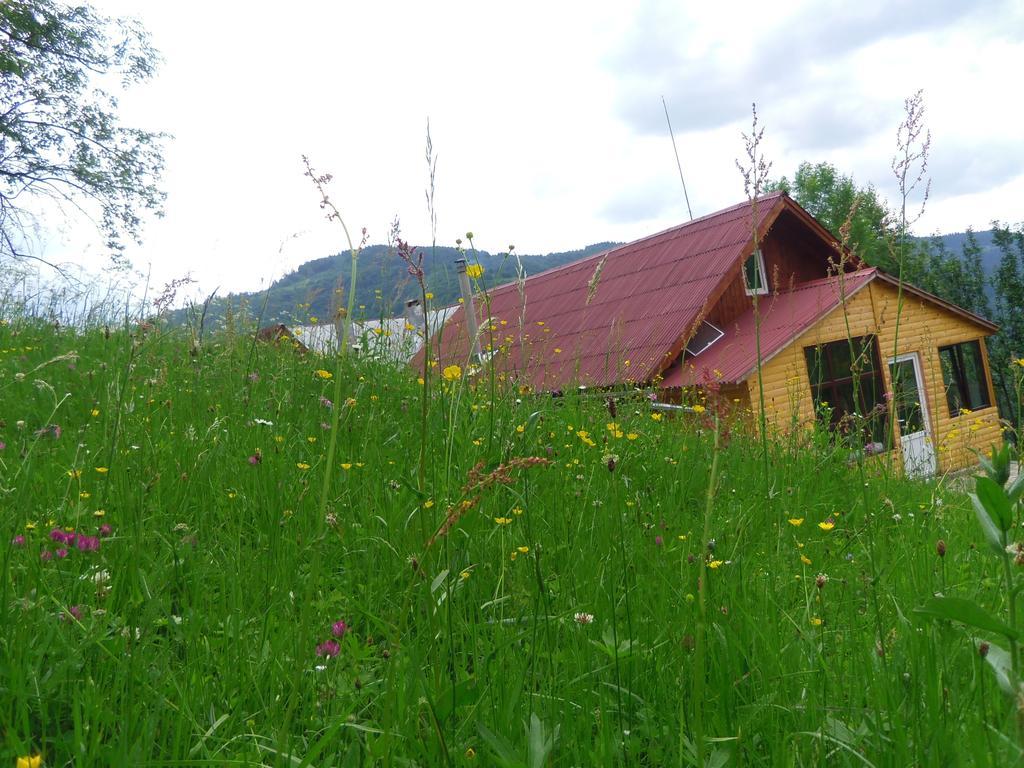 Kings Valley - Sunny Botesti Cimpeni Exterior photo